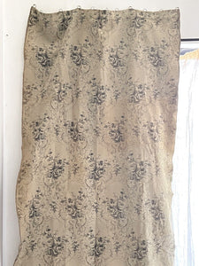 Antique French long DAMASK cotton FLORAL GREY beige CURTAIN drape c1910